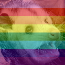 possiblyapossum avatar