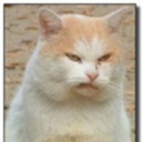 possiblyrhodri avatar