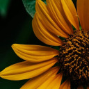 possotenerticonme-eroe avatar