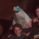 possum-spaghetti avatar