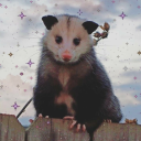 possumlark avatar