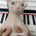 post-appocalypse-tweets avatar