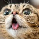 post-djentgaze-blog avatar