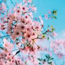 post-traumatic-mess1975 avatar