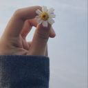 potato-face09 avatar