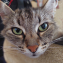 potato-physics avatar