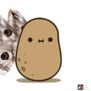 potato-potato-potatox3 avatar