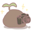 potato-with-a-camera avatar