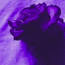 potato-withanxiety avatar