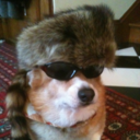 potatoinadumpster avatar