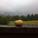 potatointherain avatar