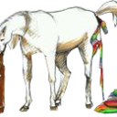 potatomyrainbow avatar