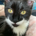 potatonom-blog avatar