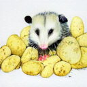 potatopossums avatar