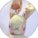 potatosa1ad avatar