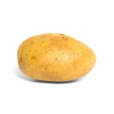 potatoturnipbean avatar