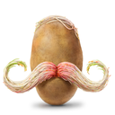 potatoxtomato avatar