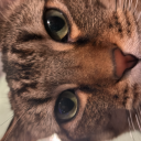 potentialfirehazard avatar