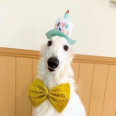 potentiallyalive avatar