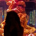 potentianoctis avatar