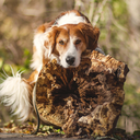 potheadandapot avatar