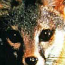 potion-sellah avatar