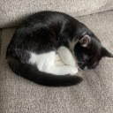 potterhead20322 avatar