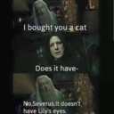 potterlifexreader avatar