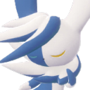 pounce-bounce avatar