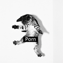 pourieternite-blog avatar