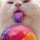 pourloveonthebrokenplaces avatar