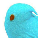 powderbluepeep avatar