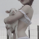 powderedddonut avatar