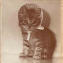 powderedsugarr avatar