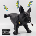 powerdogg avatar