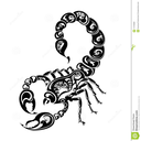 powerfulscorpio avatar