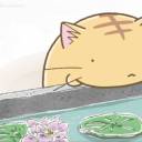 poyopoyopoyopoyo avatar