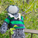 pp-goldenmeyer avatar