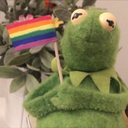 pplasticflowers avatar