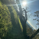 ppressedandpumaced avatar