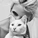 pprettyperfect avatar