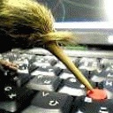 ppssssss-blog avatar