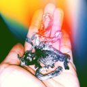 ppsychoddelicate avatar