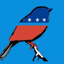 practical-progressive-politics avatar