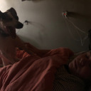 practicallybarbie avatar