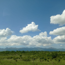 practicaltommy avatar