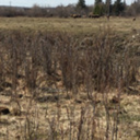 prairie-sage-sachet avatar