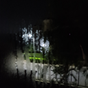 praisedforcausinghavoc avatar