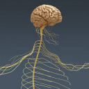 praiseworthybread avatar