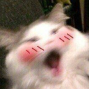 pralinowazaba avatar